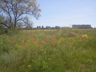 Picture of Stepnohirsk