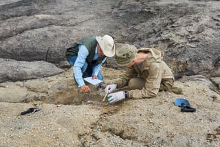 Picture of paleontologist