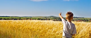 Picture of Jeunes agriculteurs