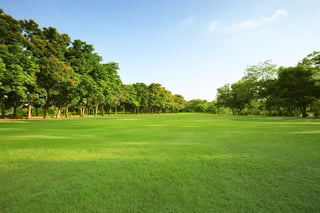 Picture of Land
