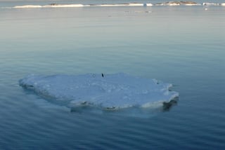 Picture of Ice floe
