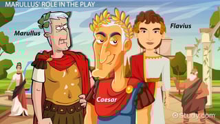 Picture of Caesar