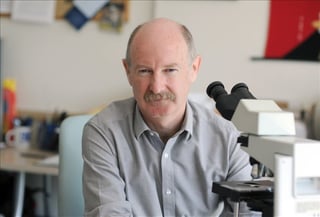 Picture of Rafael Yuste