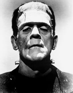 Picture of Frankenstein