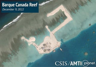 Picture of Barque Canada Reef