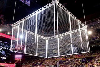Picture of cage match