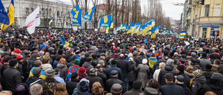 Picture of Revolution of Dignity