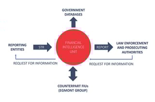 Picture of Financial Intelligence Unit