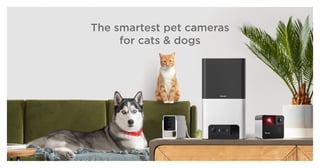 Picture of Petcube