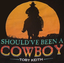 Picture of Should've Been a Cowboy