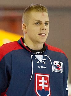 Picture of Erik Černák