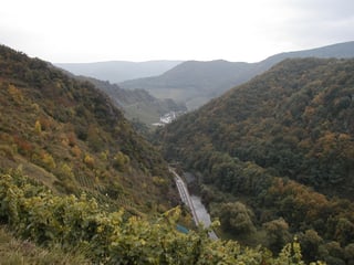 Picture of Ahr Valley