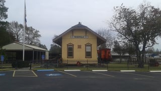 Picture of Magnolia