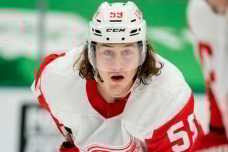 Picture of Tyler Bertuzzi