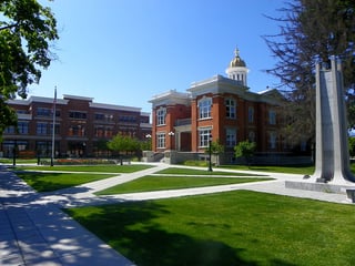 Picture of Logan