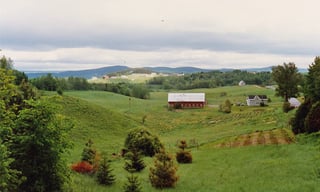 Picture of Derby