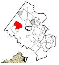 Picture of Chantilly