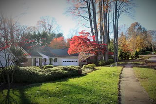 Picture of Annandale