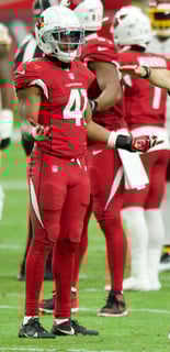 Picture of Kenyan Drake