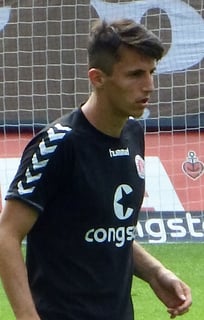 Picture of Ante Budimir
