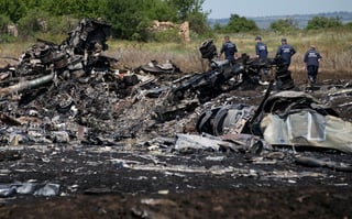 Picture of Malaysia Airlines Flight 17
