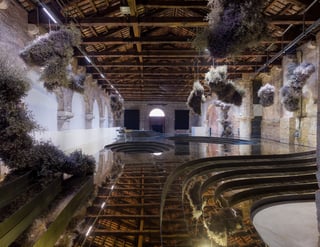 Picture of biennale