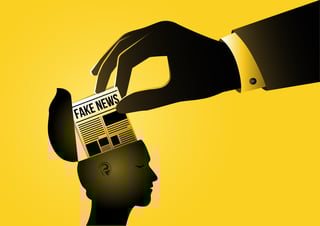 Picture of Disinformation