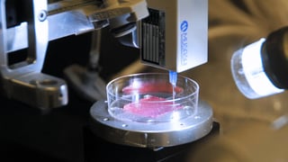 Picture of bio-printing