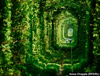 Picture of Tunnel of Love