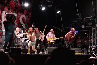 Picture of Idles