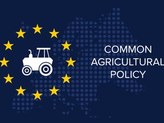 Picture of Common Agricultural Policy
