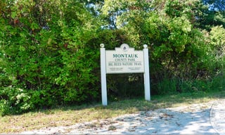 Picture of Montauk County Park
