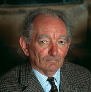 Picture of Brian Friel