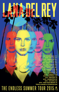 Picture of The Endless Summer Tour