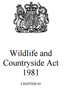 Picture of Wildlife and Countryside Act 1981