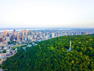 Picture of Mount Royal