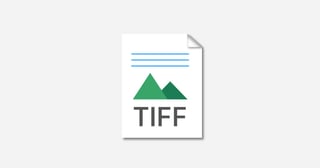 Picture of TIFF