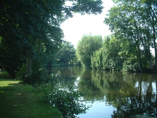 Picture of River Wensum