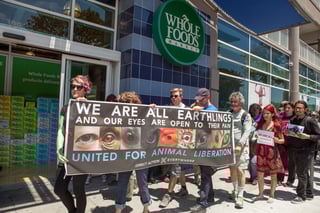 Picture of Direct Action Everywhere