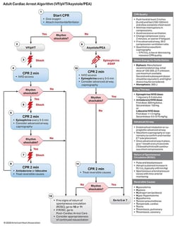 Picture of Advanced cardiac life support
