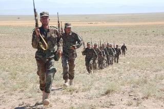 Picture of Combatant