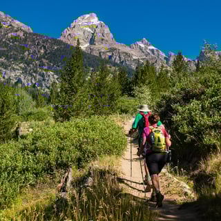 Picture of Hiking