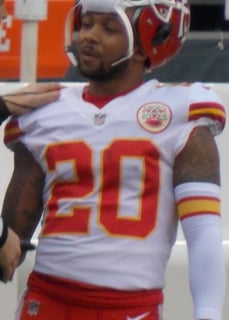 Picture of Steven Nelson