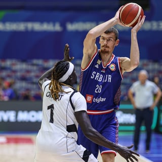 Picture of Boriša Simanić
