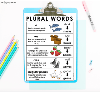 Picture of Plural