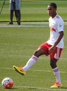 Picture of Tyler Adams