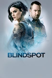Picture of Blindspot