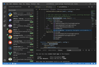 Picture of Visual Studio Code