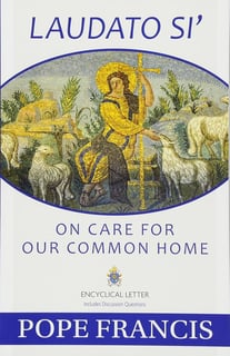 Picture of Laudato si'