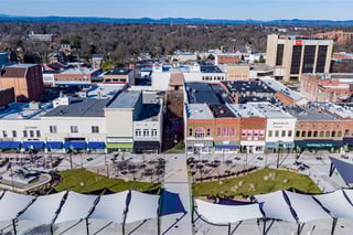 Picture of Hickory